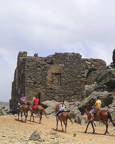 Sunkissed Tours Aruba Horse Riding